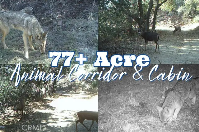 28618 Chihuahua Valley Road, Warner Springs, CA 92086 - #3