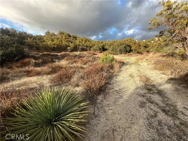 36825 Highway 79, Warner Springs, CA 92086 - #3