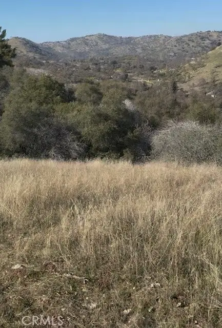 0 Chuckwagon Road, Squaw Valley, CA 93675 - #1