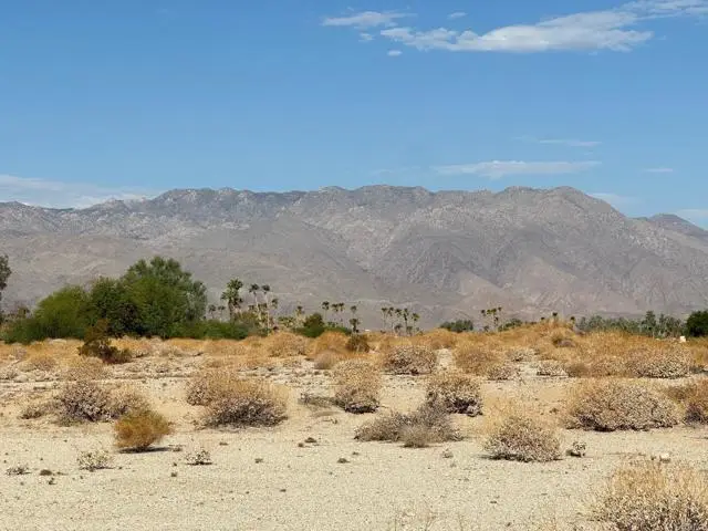 0 Roadrunner Drive, Borrego Springs, CA 92004 - #3