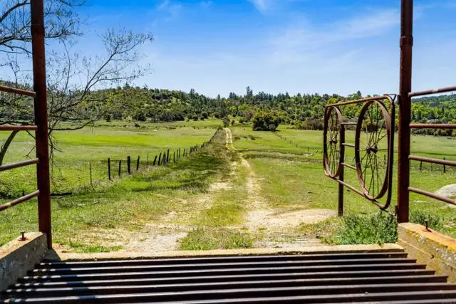 3510 Deer Lake Park Road, Julian, CA 92036 - #2