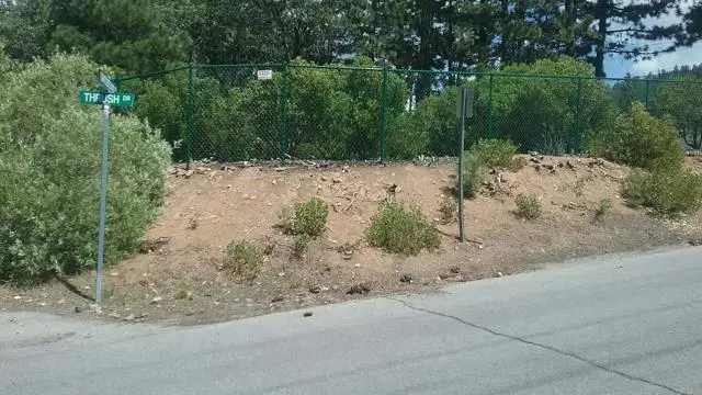 0 Switzerland Dr, Big Bear Lake, CA 92315 - Image #2