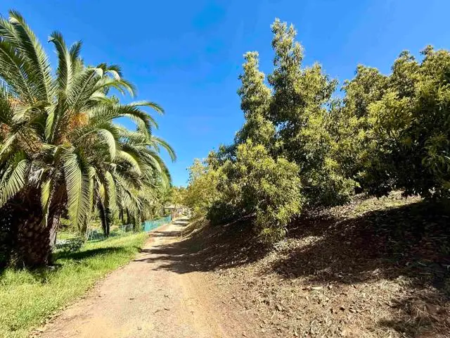 3160 Slivkoff Drive, Escondido, CA 92027 - #2