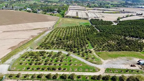 0 Via Puerta Del Sol, Bonsall, CA 92003