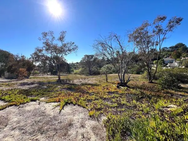 Mays Hollow Lane, Encinitas, CA 92024