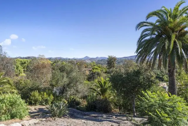 16312 Via Del Alba, Rancho Santa Fe, CA 92067 - #1