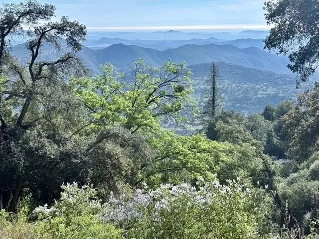 32900 South Grade Road, Palomar Mountain, CA 92060 - #3