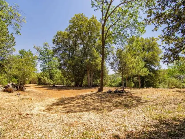7 West Incense Cedar Road, Julian, CA 92036 - #1