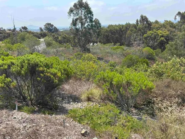 0 Lone Hill Lane, Encinitas, CA 92024 - #1