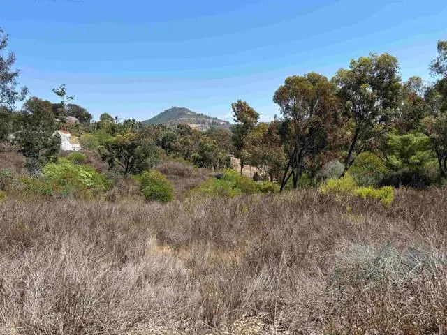 0 Lone Hill Lane, Encinitas, CA 92024 - #2