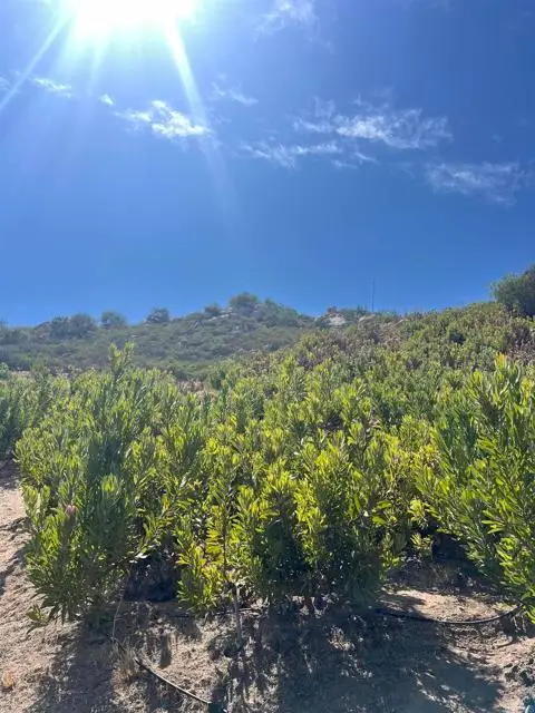 26336 Lake Wohlford Road, Valley Center, CA 92082