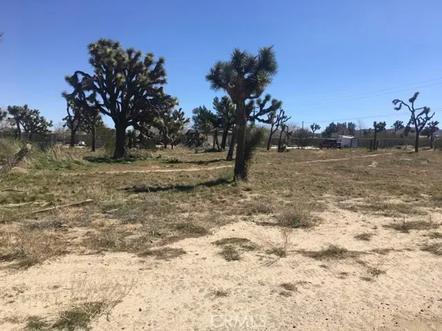 7199 Grand Avenue, Yucca Valley, CA 92284 - #2