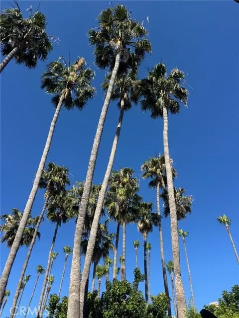 51 Seabrook Cove, Newport Beach, CA 92660 - #2