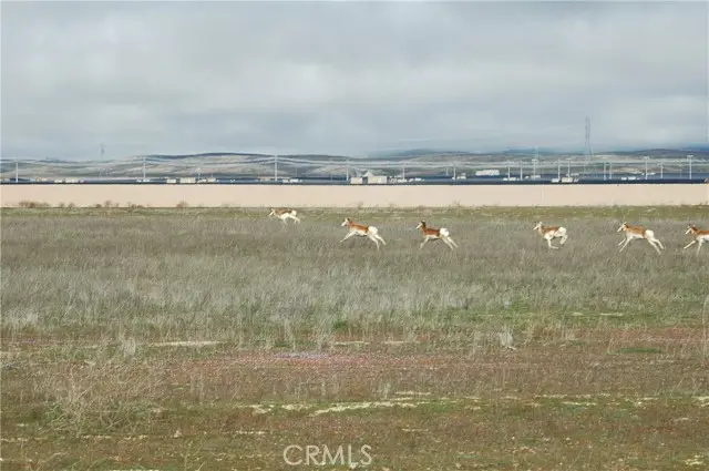 0 Arrow Bear Trail, Santa Margarita, CA 93453 - #1