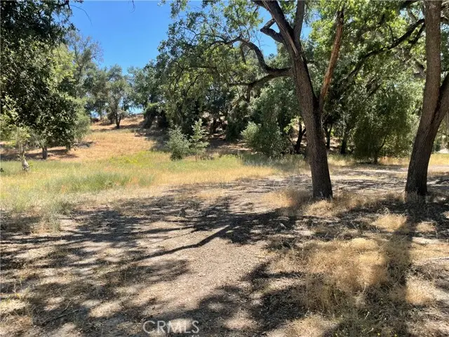 8 Championship Lane, Templeton, CA 93465 - #3