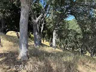 #3