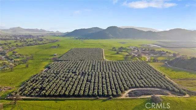19400 398, Woodlake, CA 93286 - #1