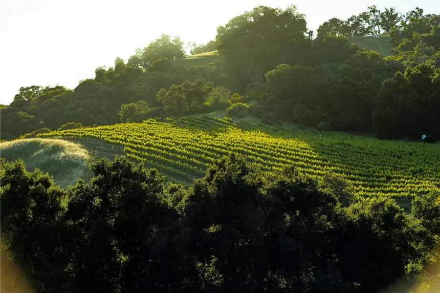 0 Adelaida Road, Paso Robles, CA 93446 - #3