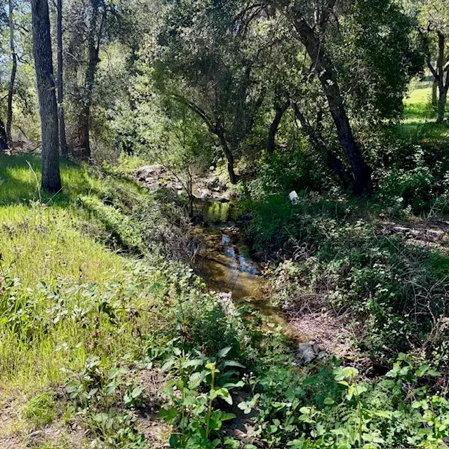 0 AV Ranch Road, Jolon, CA 93928 - #1