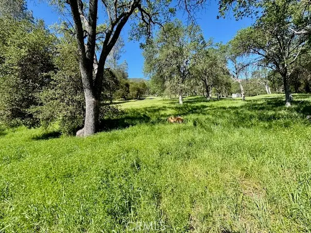 0 AV Ranch Road, Jolon, CA 93928 - #3