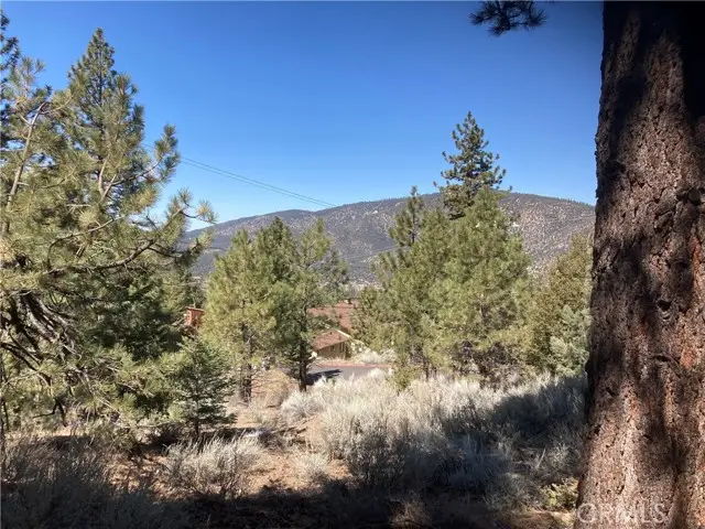 15125 Chestnut Drive, Pine Mountain Club, CA 93222 - #1