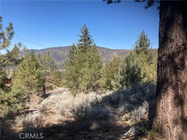 15125 Chestnut Drive, Pine Mountain Club, CA 93222 - #3