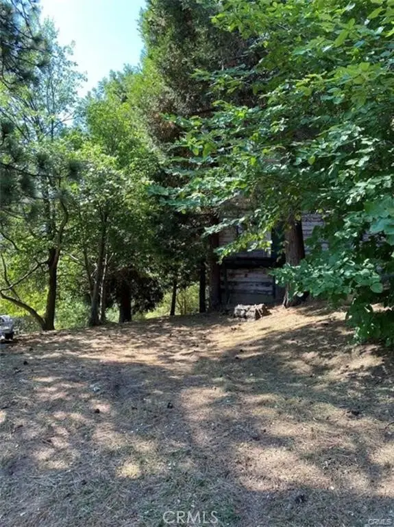 0 Pine Drive, Cedarpines Park, CA 92322 - Image #1