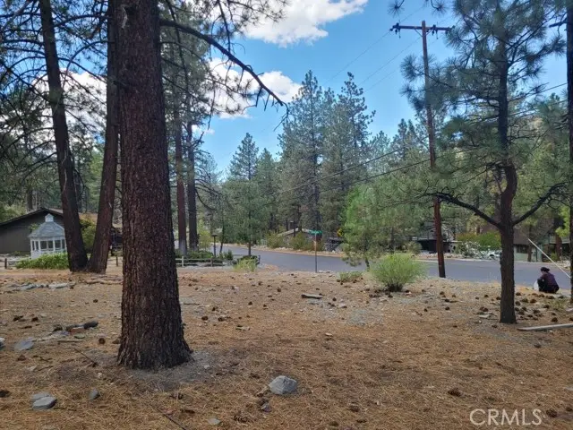 0 Lodgepole Drive, Wrightwood, CA 92397 - #1