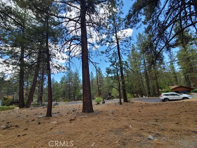 0 Lodgepole Drive, Wrightwood, CA 92397 - #2
