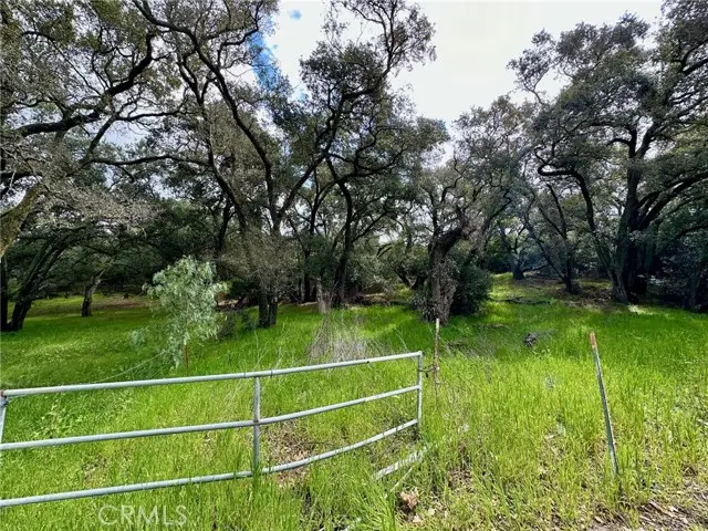 19334 Live Oak Canyon, Trabuco Canyon, CA 92679 - #3