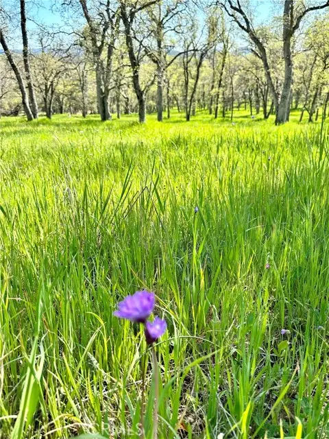 0 Old Wards Ferry Road, Sonora, CA 95370 - #1