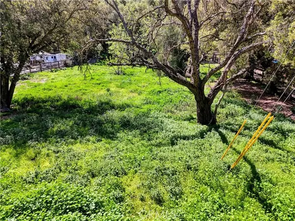 28622 Modjeska Road, Silverado, CA 92676