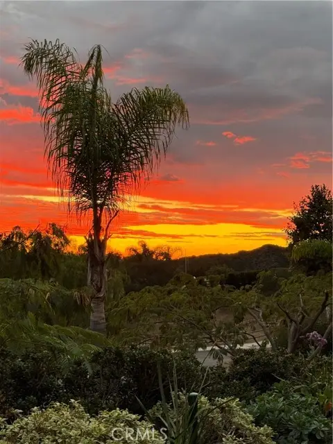 18522 Topanga Canyon, Silverado, CA 92676 - #3