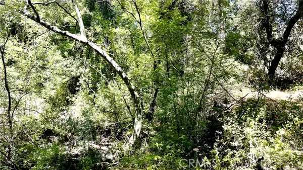 19 Hombre, Murrieta, CA 92562