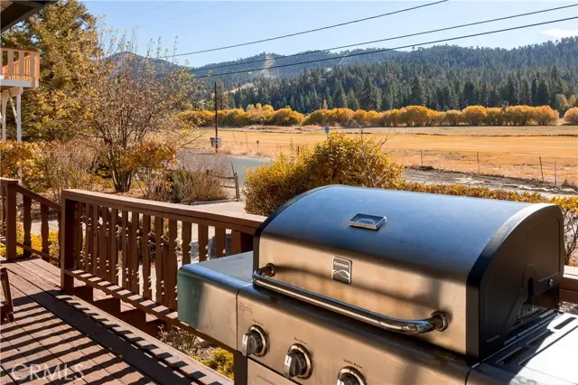 43014 Moonridge Road, Big Bear Lake, CA 92315 - #3