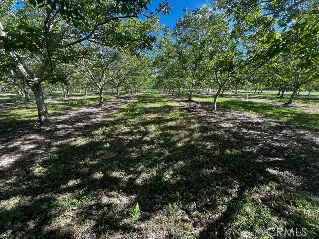 4180 COUNTY 203 Road, Hamilton City, CA 95951 - #1