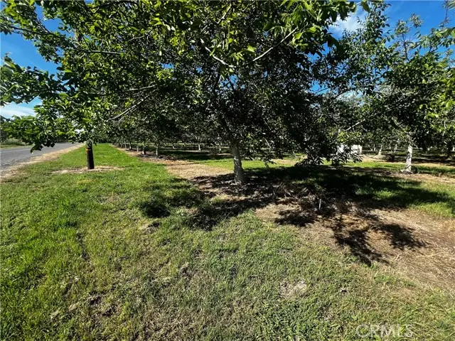 4180 COUNTY 203 Road, Hamilton City, CA 95951 - #3