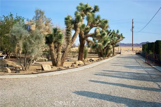 65585 4th Street, Joshua Tree, CA 92252 - #3
