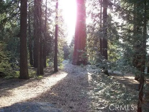 54584 Ponderosa Drive, Springville, CA 93265 - #2