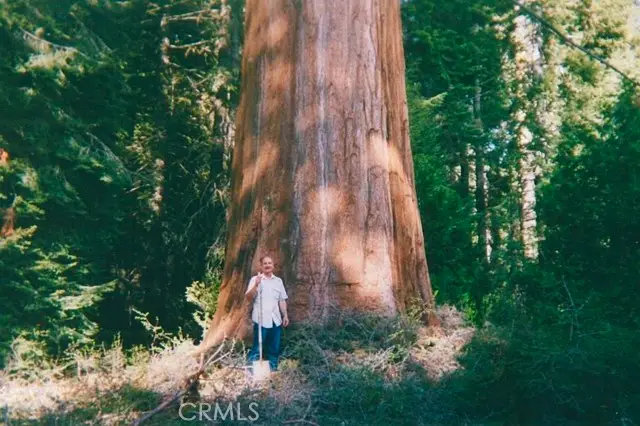 54584 Ponderosa Drive, Springville, CA 93265 - #3