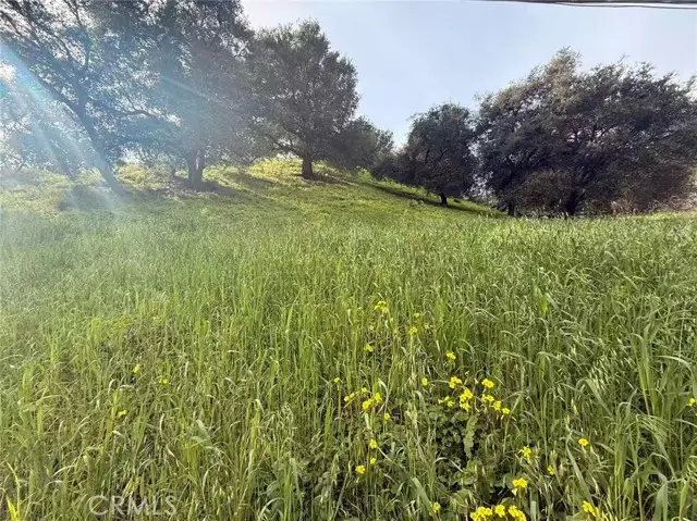 3669 Coldwater Canyon Avenue, Studio City, CA 91604 - #1
