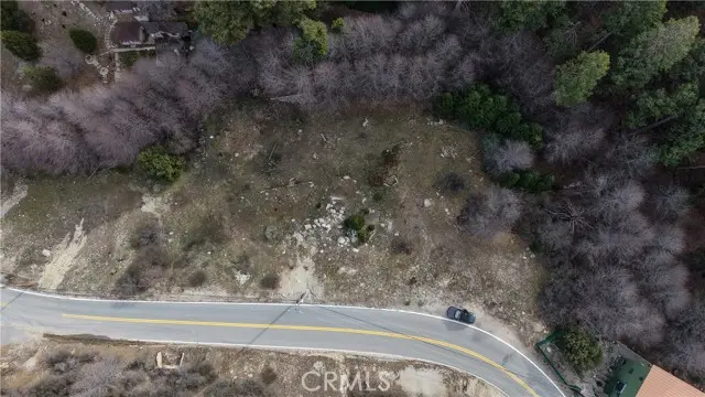 29649 Hook Creek Road, Cedar Glen, CA 92321 - #2