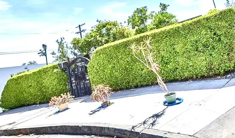 2949 Harcourt, Los Angeles, CA 90016 - #3