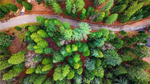 5435 Pine Ridge, Grizzly Flats, CA 95636 - #1