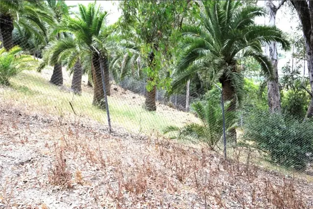 3176 Orange, Orange, CA 92865 - #3