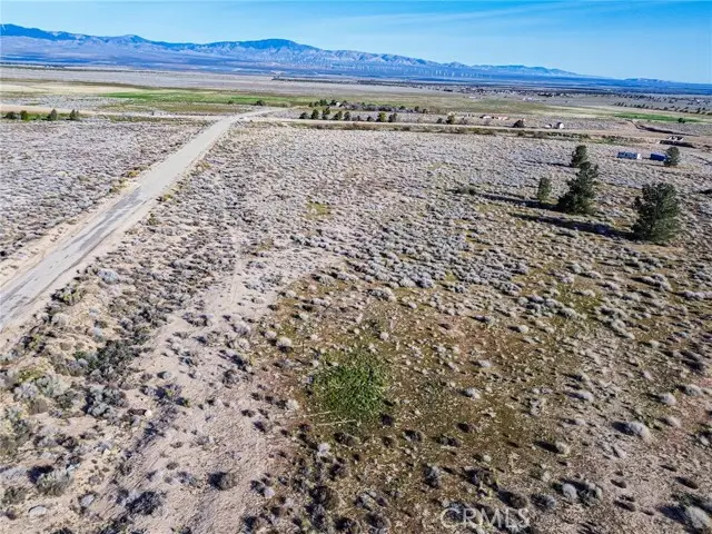 10000 195th Street, Lancaster, CA 93536 - #2