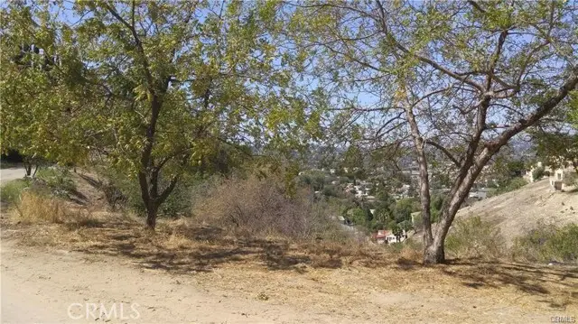 3607 Richardson, Los Angeles, CA 90065 - #3