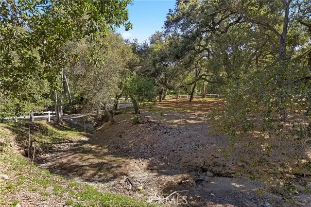 19411 Live Oak Canyon, Trabuco Canyon, CA 92679 - #3