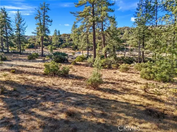 1 Pipe Creek Road, Mountain Center, CA 92561