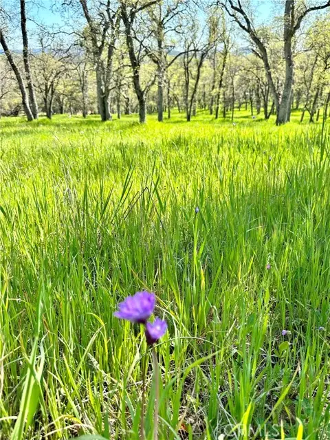 18461 Old Wards Ferry Road, Sonora, CA 95370 - #1